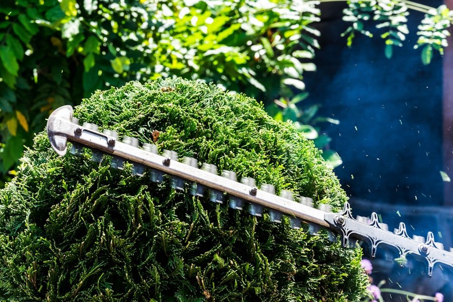 Gardener shaping a hedge with a powered trimmer